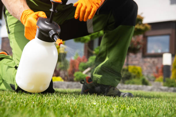 Best Pest Control Near Me in Morgan, GA