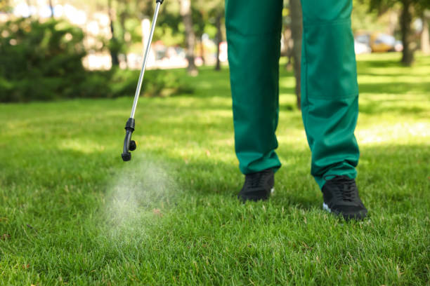 Best Ant Control Services  in Morn, GA