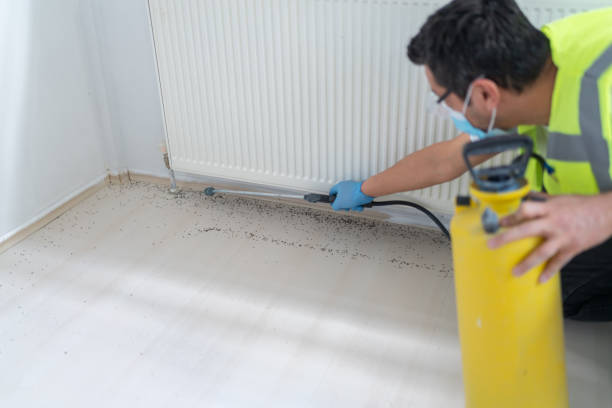 Best Best Pest Control Companies  in Morn, GA